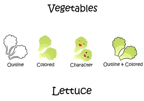 Collection of lettuce illustrations Illustrazione stock