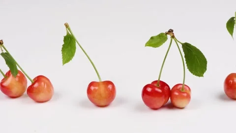 Collection of light red different sweet cherries with green leaf, Stock Footage 239232469