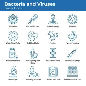 Collection of linear icons representing bacteria, viruses, blood cells, DNA.. Ilustración de archivo