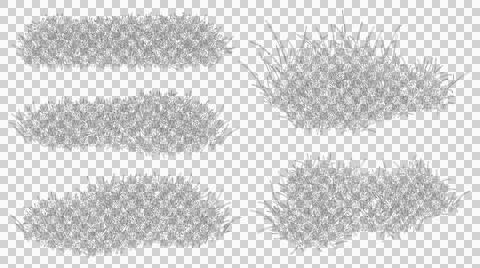 Collection of low-profile grass bushes in elevation view isolated on Stock Illustration