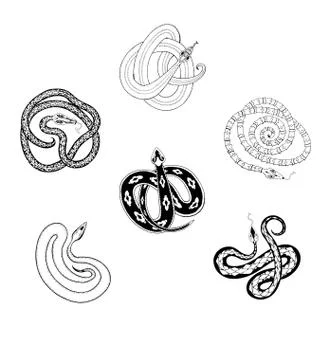 Collection of magic snakes hand drawing with black ink on a white background. Stock Illustration