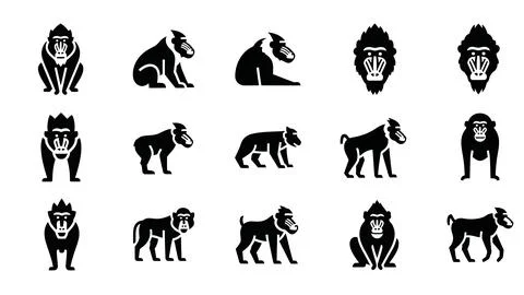 Collection of mandrill monkey silhouettes in diverse poses. Stock Illustration