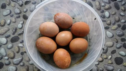 Collection of many chicken eggs in an egg tray at home grocery store 库存照片