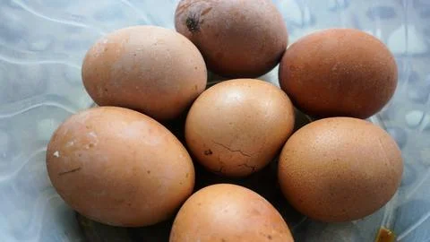 Collection of many chicken eggs in an egg tray at home grocery store Stockfoto's