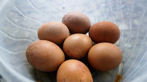 Collection of many chicken eggs in an egg tray at home grocery store 스톡 사진