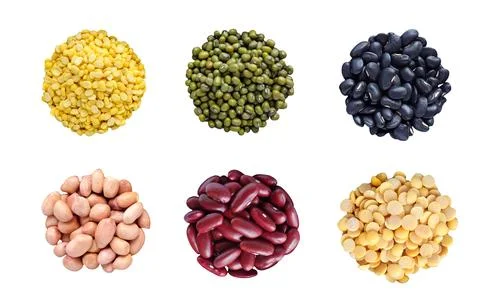 Collection of mix bean with clipping path Stock Photos