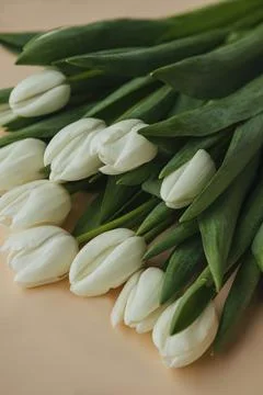 Collection of mixed flowers Stock Photos