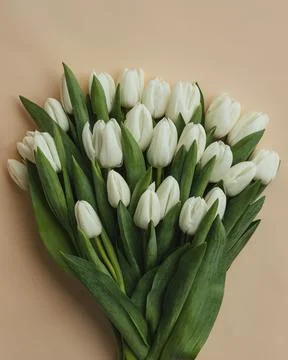 Collection of mixed flowers Stock-Fotos