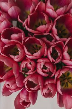 Collection of mixed flowers Stock Photos