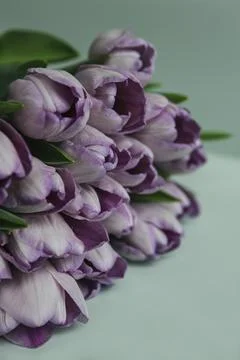 Collection of mixed flowers Stock Photos