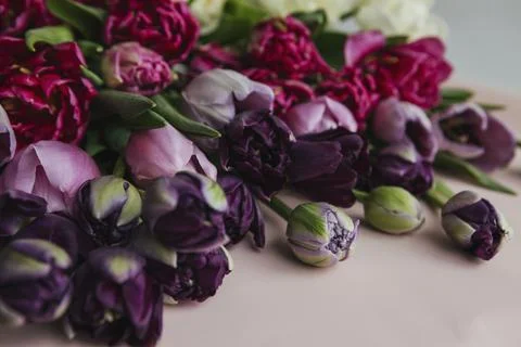 Collection of mixed flowers Stock Photos