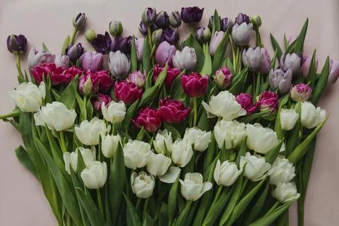 Collection of mixed flowers Stock Photos