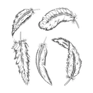 Collection of the monochrome feathers .Handmade work.Vector illustration Stock Illustration