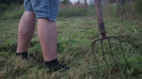 Collection of mown grass from the plot in I. summer mowing. cleaning of the Stock Footage 172364135