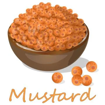 Collection of mustard vector illustrations: mustard seeds, flower, leaves and Stock Illustration