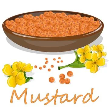 Collection of mustard vector illustrations: mustard seeds, flower, leaves and Stock Illustration