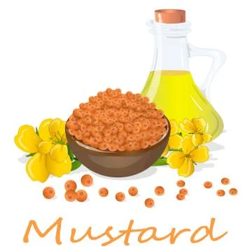 Collection of mustard vector illustrations: mustard seeds, flower, leaves and Stock Illustration
