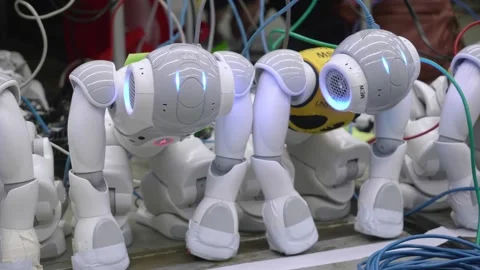 Collection Of Nao Robots Wired Up And BEing Charged On The Floor. Close Up Stock Footage 130235039