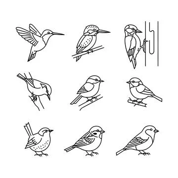 Collection of nine different bird drawings in various poses Stock Illustration