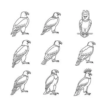 Collection of nine different eagle illustrations in various poses Stock Illustration