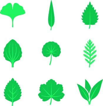Collection of Nine Different Green Leaf Silhouettes. Stock Illustration