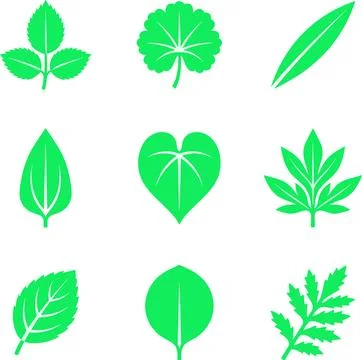Collection of Nine Different Green Leaf Silhouettes. Stock Illustration