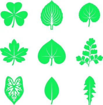 Collection of Nine Distinct Green Leaf Silhouettes on White Background. Stock Illustration