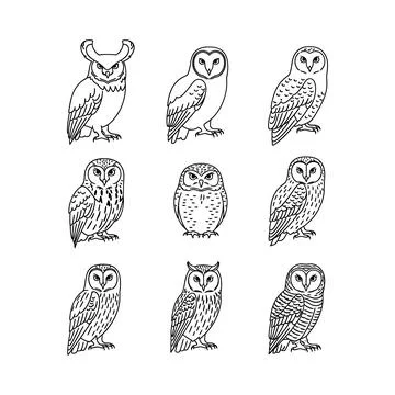 Collection of nine unique owl illustrations in various poses and styles Stock Illustration