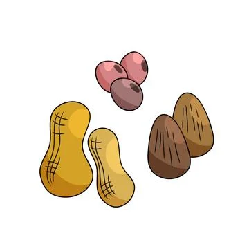 Collection of nut flat design Stock Illustration