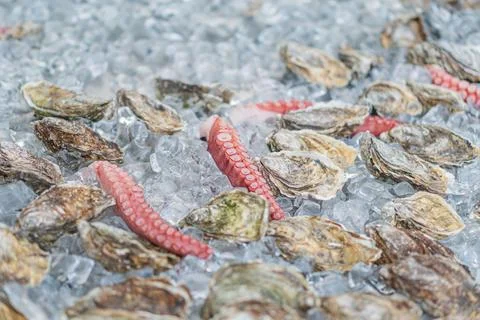 A collection of octopus-like objects, primarily red with camouflage patterns, Stock Photos