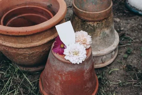 Collection of old empty clay flower pots. Blank tag, label mockup with dahlia 스톡 사진