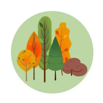 Collection or set of different orange and green autumn trees in light green c Stock Illustration