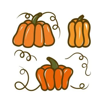 Collection of orange pumpkin vector illustrations. Stock Illustration