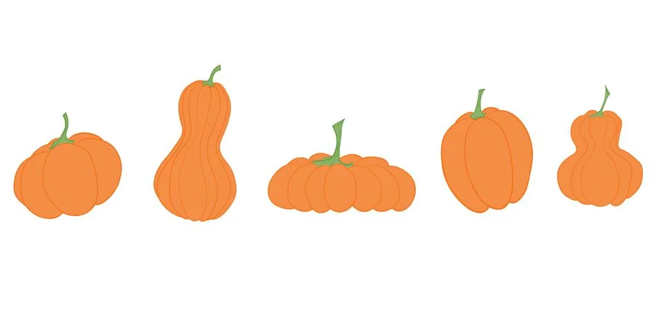 Collection of orange pumpkins and squashes on white background Stock Illustration