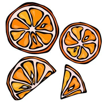 Collection of Orange Slices, Isolated on White Background, Doodle Style Vector Stock Illustration