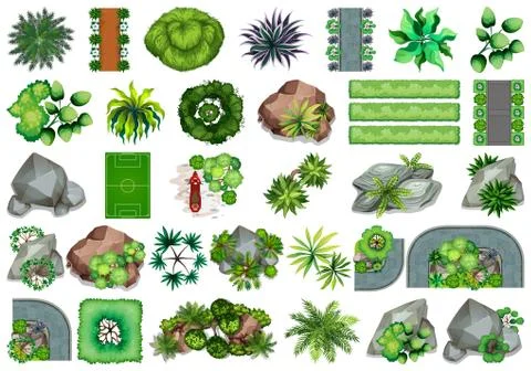 Collection of outdoor nature themed objects and plant elements Ilustração Stock