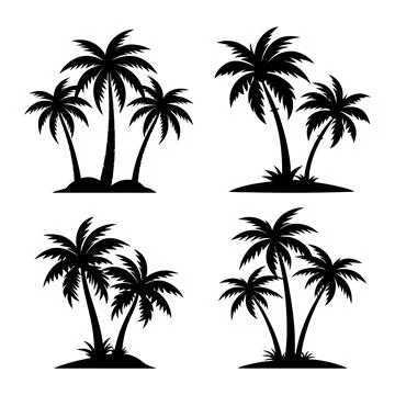 Collection of Palm trees vector silhouette isolated on white background Stock Illustration
