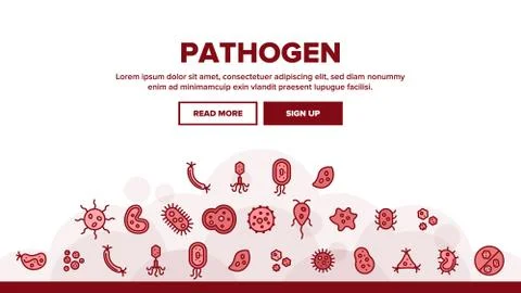 Collection Pathogen Elements Vector Sign Icons Set 스톡 일러스트