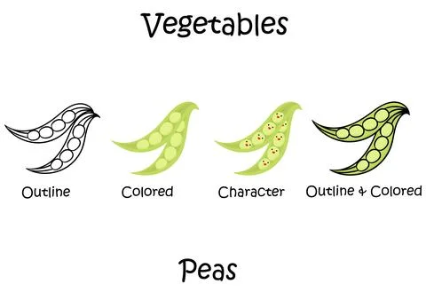 Collection of pea vegetable illustrations Stock Illustration
