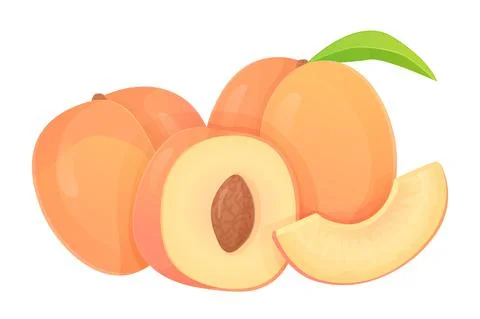 Collection of peaches in different shapes, slice, half with seed, whole fruit Stock Illustration