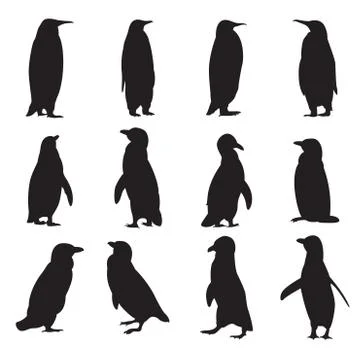 Collection of penguins&amp;#39; silhouettes Stock Illustration