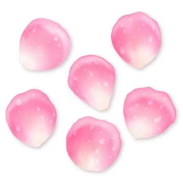 Collection of petals with water drops Stock Illustration