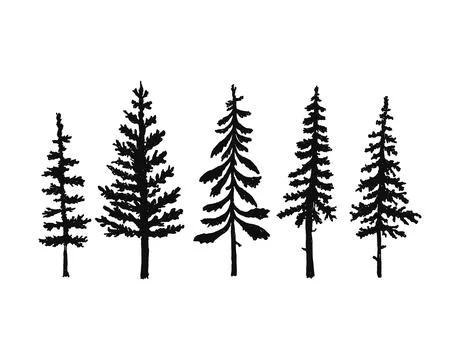 Collection of pine tree silhouettes. Vector, isolated Stock Illustration