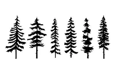 Collection of pine trees vector Stock Illustration