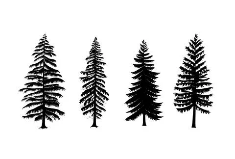 Collection of pine trees vector Stock Illustration