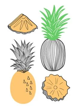 Collection of pineapple. Fruit, piece, slice of pineapple. Vector hand drawn  Stock Illustration