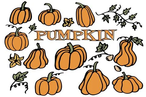 Collection of  pumpkin in doodle style Stock Illustration
