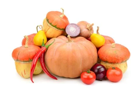 Collection pumpkin 写真素材