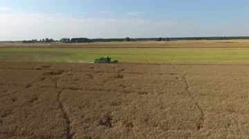Collection of rapeseed, aerial view Stock Footage 85613252