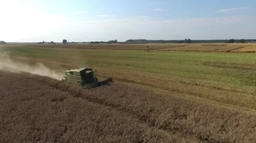 Collection of rapeseed, aerial view Stock Footage 85613276